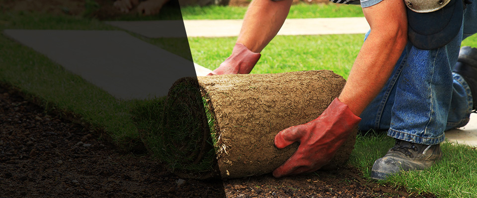 Waleska Landscapers